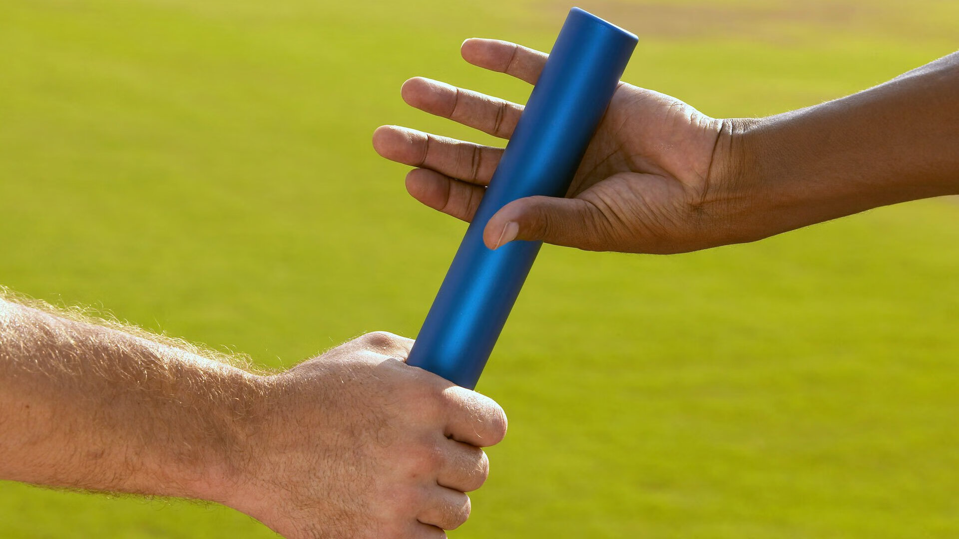 WRC突尼斯站：沙丘中的极速追逐，突尼斯阵容