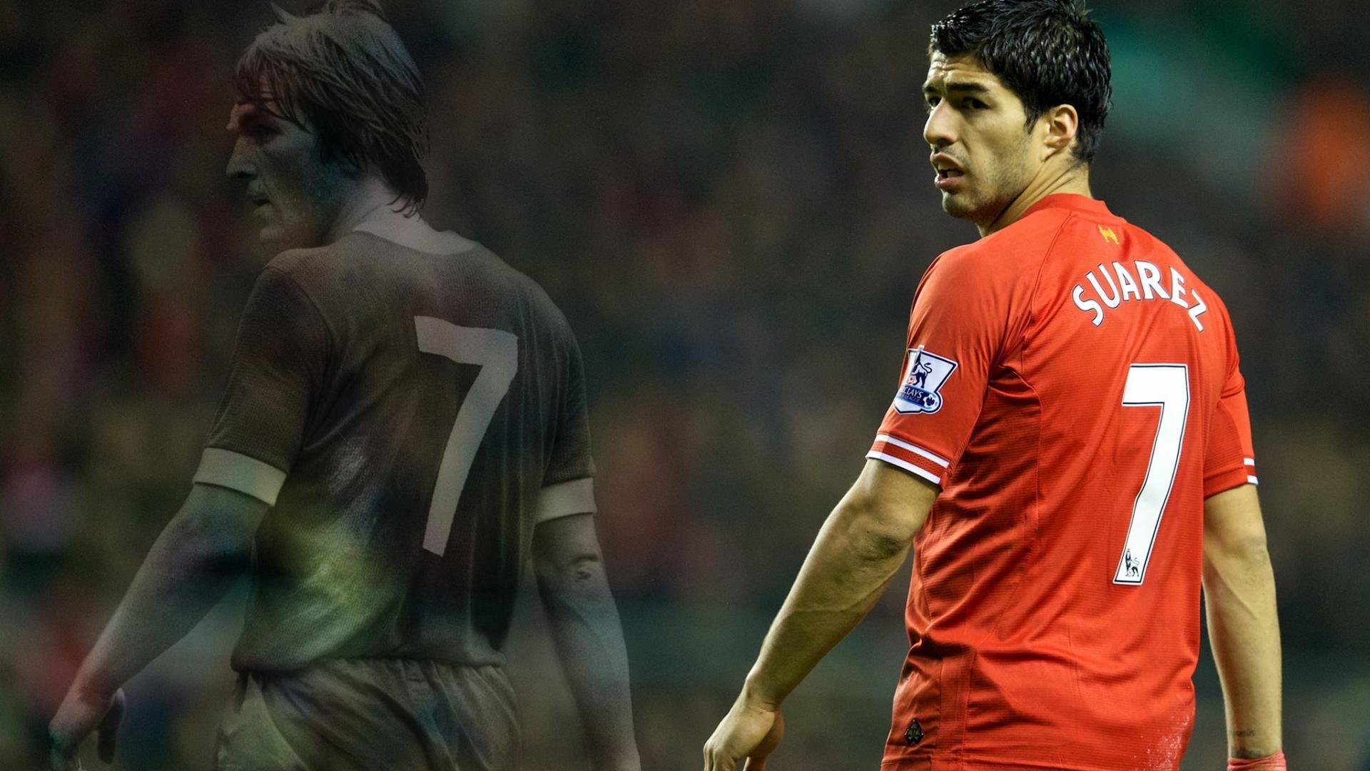 “雪域霸主：白色赛场的冠军归来”，雪域白图片